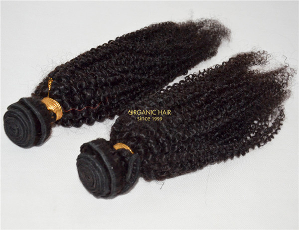 Virgin brazilian kinky curly hair extensions for USA market black women